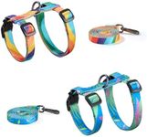 Cat Harness and Leash Set - Escape 
