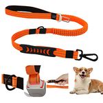 EASTLION Bungee Dog Lead Shock Absorbing Strong Dog Leash with Car Seat Belt,Two Padded Handle No Pull Reflective Traffic Control,Pet Elastic Rope for Small Medium Large Dogs,Orange