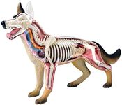 THABATTA Animal Anatomy 4D Dog Inte