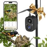 Smart Bird Feeder Camera Solar Powered w/Pole, 2.5KHD Birdwatching Live Video Auto Capture, AI Identification & Instant Alerts, Wireless Bird Cam Outdoor for Dad Grandpa, Supports 2.4G WiFi Only