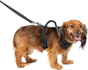 PetSafe Ea