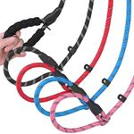 HOMIMP Slip Lead Dog Leash 6 FT - Reflective 4 PCS Bulk Color Heavy Duty Rope Dog Leash for Small Medium Large Dogs Puppy - Soft Long Padded Handle Thick Dog Leashes for Shelter, Vet, Training