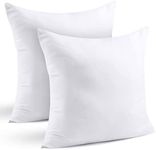 NY Threads Throw Pillows Insert (Pa