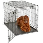 MidWest Homes for Pets 42-Inch iCrate for Large Breeds, 71-90 lbs, Single Door Folding Dog Crate with Divider Panel, Leak-Proof Tray & Secure Latch, Portable, Durable & Easy to Assemble