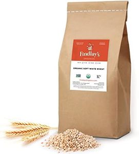 Soft White Wheat Berries Organically Grown in Michigan, Farmer Direct, USDA Organic Certified, Non-GMO, 25 Lbs Total // Findlay's Organics