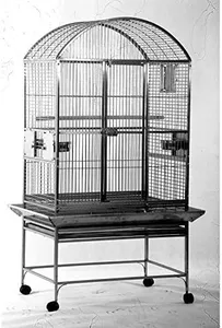 A&E Cage Co. Dome Top Cage, 32"x23", Stainless Steel, 9A-3223