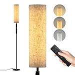 Twopinmetre Office/Home LED Floor lamp, 15W/1000LM 3 Color 5 Brightness Adjustable Super Bright Vertical Floor lamp, with Remote Control and Touch Control Reading Floor lamp 1H Timer