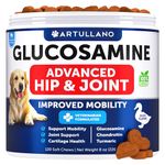 Glucosamine for Dogs - Advanced Hip and Joint Supplement for Dogs - Glucosamine Chondroitin for Dogs - Dog Joint Pain Relief - MSM - Support Dog Joint Supplement Health - 120 Chews