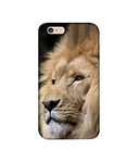 Amazon Brand - Solimo Designer Lion 3D Printed Hard Back Case Mobile Cover for Apple iPhone 6 Plus / 6S Plus