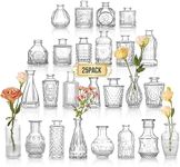 BEWAVE Bud Vases, Glass Bud Vases S