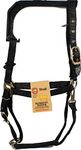 Hamilton 1-Inch Nylon Halter with Adjustable Chin, Black - Draft Horse Size