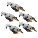 Topyond 5-Pack Realistic Bird Imitation Target, High-Density Foam Material Target, Suitable for Outdoor Hunting and Shooting and Indoor Decoration