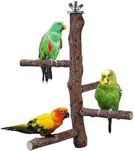 Filhome Bird Perch Stand Toy, Natural Wood Parrot Perch Bird Cage Branch Perch Accessories for Parakeets Cockatiels Conures Macaws Finches Love Birds (M: 10" Length)