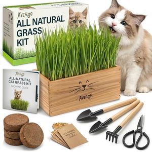 Cat Grass 