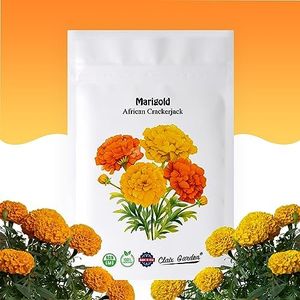 Marigold A