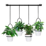 Hanging Planter Hanging Plant Holder, 6 Inch 4 Indoor Plant Pots, Wall/Window Plant Hanger Indoor Herb Garden