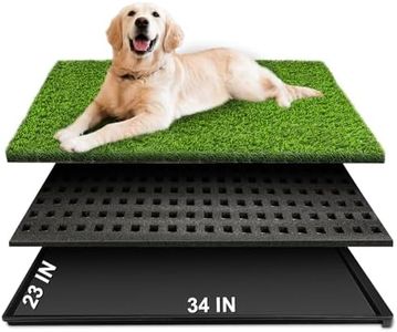 Dog Grass 