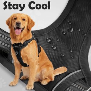 Funfox No Pull Dog Harness, Medium – Adjustable Pet Vest