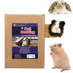 Bedding For Hamster Care Fresh