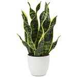 Artificial Snake Plant Potted Faux Sansevieria Trifasciata Plants, 17" Tropical Fake Plants in White Pots for Home Office Desk Outdoor Décor Housewarming Gift