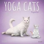 Yoga Cats Together OFFICIAL | 2025 