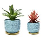 Nattol Owl Succulent Planter, Turquoise Animal Planter Pots with Drainage Hole and Bamboo Saucer, Set of 2