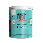 Berger Paints Home Shield Damp Shield Elasto (White, 4 L)