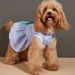 KUTKUT Frock Dress for Small Dog Cat Girl Puppy Clothes Female Princess Tutu Striped Skirt Summer Shirt for Shihtzu, Papillon, Bichon Cat Pet Apparel Outfits (Size: L, Chest: 45cm, Length: 35cm)