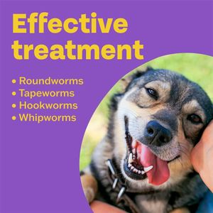 Bob Martin Clear Dog Wormer Tablets – 4-Pack