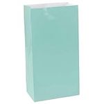 Amscan Robins Egg Blue Mini Paper B