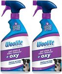 Woolite Pet Stain and Odor Remover 