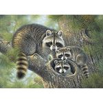 DIY 5D Diamond Painting by Numbers Kits, Raccoons on The Tree, Full Drill Rhinestones Paint with Diamonds Crystal Diamond Art (Raccoon)