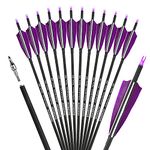 ZSHJGJR 30 Inch Archery Carbon Arrows Hunting Arrows with 4” Turkey Feather Target Practice Arrows Spine 500 for Compound & Recurve &Traditional Bow 6/12pcs (12 x Purple Arrows)