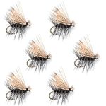 The Fly Fishing Place Black Elk Hair Caddis Classic Trout Dry Fly - Set of 6 Flies Size 14