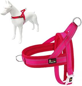 Plutus Pet