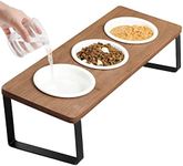 GUUSII HOME Raised Cat Bowl with Stand Kitty Dish Ergonomic Elevated Feeding Station 15° Tilted Ceramic Food and Water Bowls Set of 3 for Indoor Cats Pet Puppy Plate Anti Vomit Easy to Clean