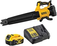 DeWalt DCMBL562P1-QW Souffleur-XR 1