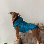 Heads Up For Tails Bomber Hoodies Dog Jacket - Petrol Blue - XL