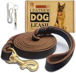 Leather Dog Leash 8ft x 3/4 inch,St