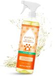 Puracy Pet Stain and Odor Remover - Enzyme Cleaner for Dog Urine and Poop Carpet - Pet Urine Enzyme Cleaner - Cat Pee Enzyme Cleaner for Cat Urine Enzyme Cleaner Destroyer - Cucumber & Mint, 25oz