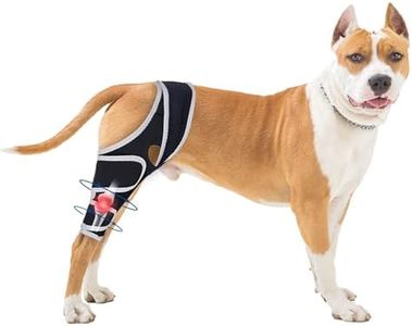 Dog Knee Brace for Torn Acl Hind Leg - Relieves Ligament Injury and Joint Pain, Adjustable Leg Support Bracket for Warmth and Support, Universal Dog Knee Brace for Four Legs, XL.