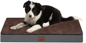 Bedfolks 3" Thick Orthopedic Dog Bed for Medium Dogs, Memory Foam Dog Bed with Lining and Removable Cover, Reversible Washable Dog Mattress for Crate, Brown