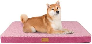 Patas Lague Orthopedic Dog Bed for 