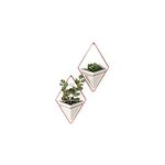 Umbra Trigg Hanging Planter Vase & Geometric Wall Decor Concrete Container - Great For Succulent Plants, Air Plant, Mini Cactus, Faux Plants and More, Set of 2, Small, Concrete/Copper