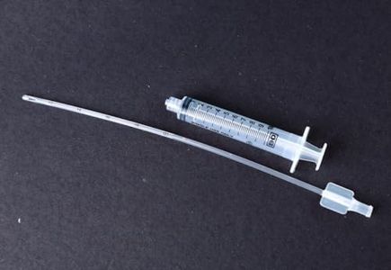 Endometria
