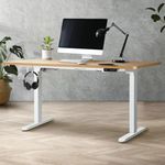 Oikiture Electric Standing Desk Computer Height Adjustable Desk Desktop Stand Up Home Ofiice Desk White Frame and 160cm WN Desk Top