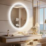 Wisfor Bathroom Mirror with LED Lig