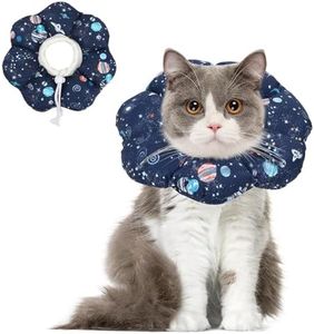 ComSaf Cat