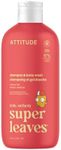 ATTITUDE Shampoo and Body Wash for 
