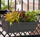 GOLD DUST Railing Planters for Balcony, (Pack of 2), Hanging Pots for Plants Balcony Railing, Hanging Planters for Balcony, Plant Pots for Balcony